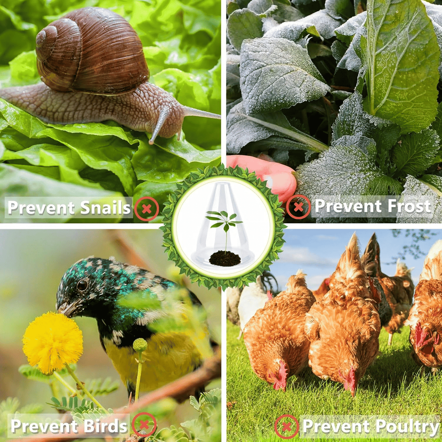 🌱Gardening Greenhouse Plant Covers (10 PCS/Set)