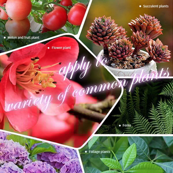 hambort™-Home Gardening Universal Slow-Release Tablet Organic Fertilizer