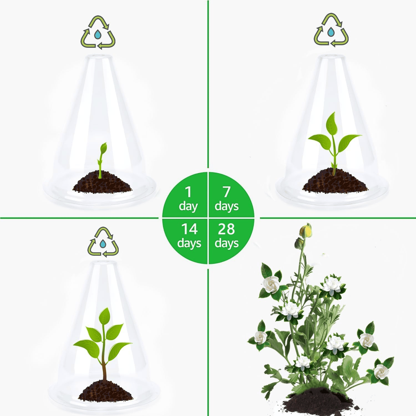 🌱Gardening Greenhouse Plant Covers (10 PCS/Set)