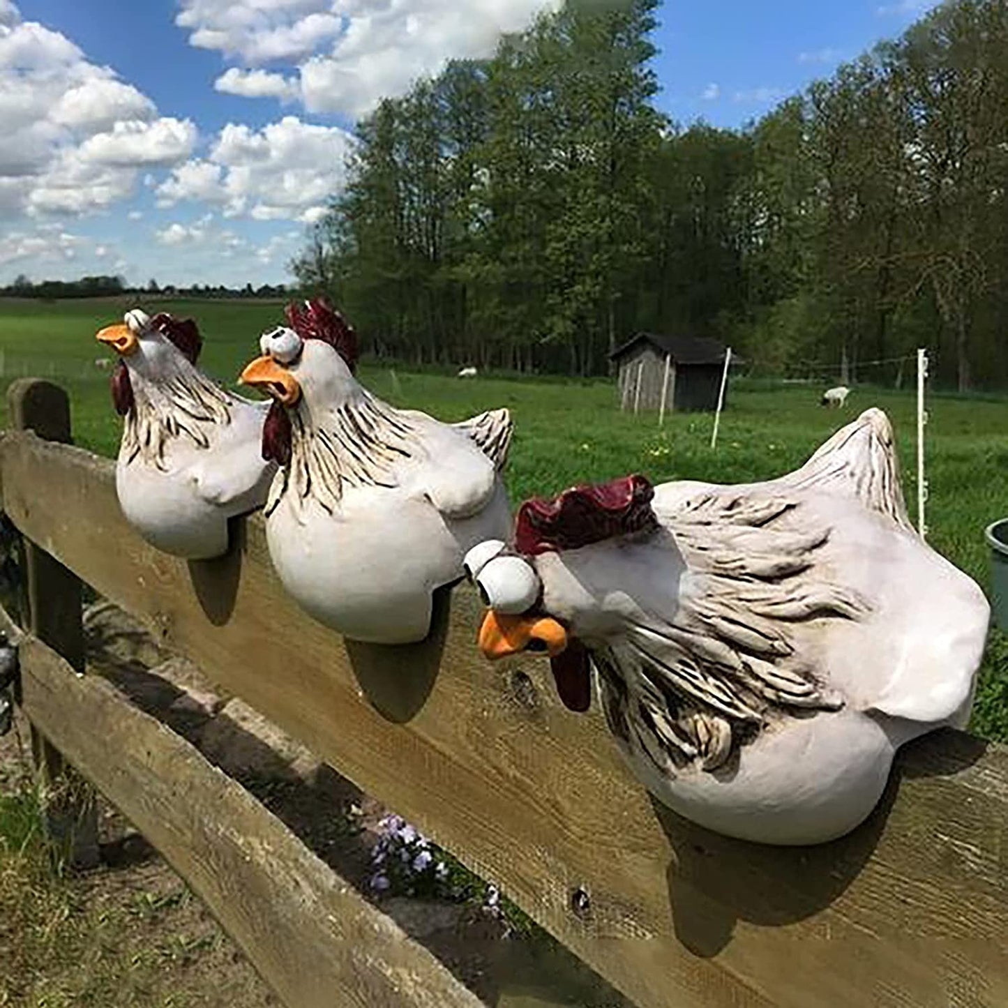 Funny Chicken Garden Fence Decoration