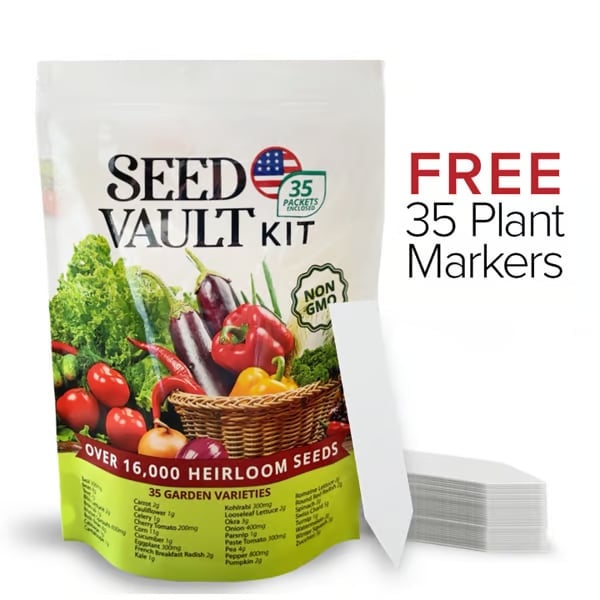 Vegetable Seed Vault Kit | 35 Variety Pack