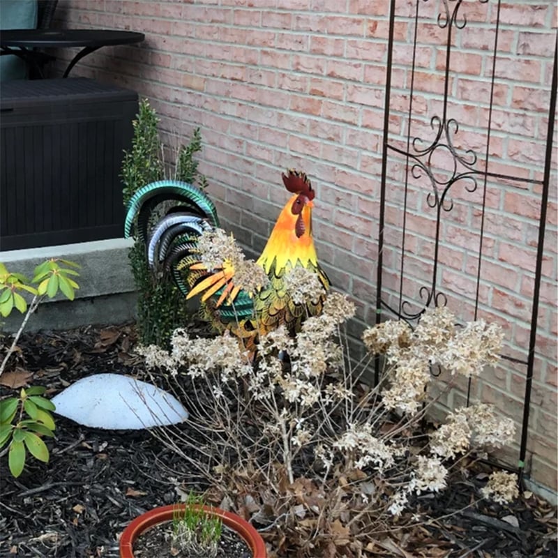 Iron Rooster-Amazing Detail And Beautiful Colours