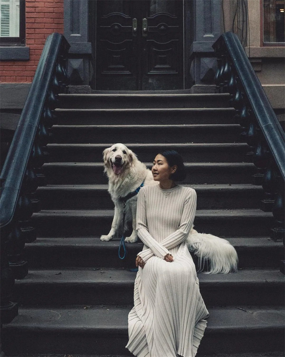 2025 Fall New Sleeved Knit Midi Dress(Buy 2 Free Shipping)