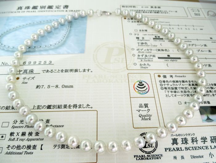 š„Limited Time Promotionš„Temperament deep sea shell pearl necklace