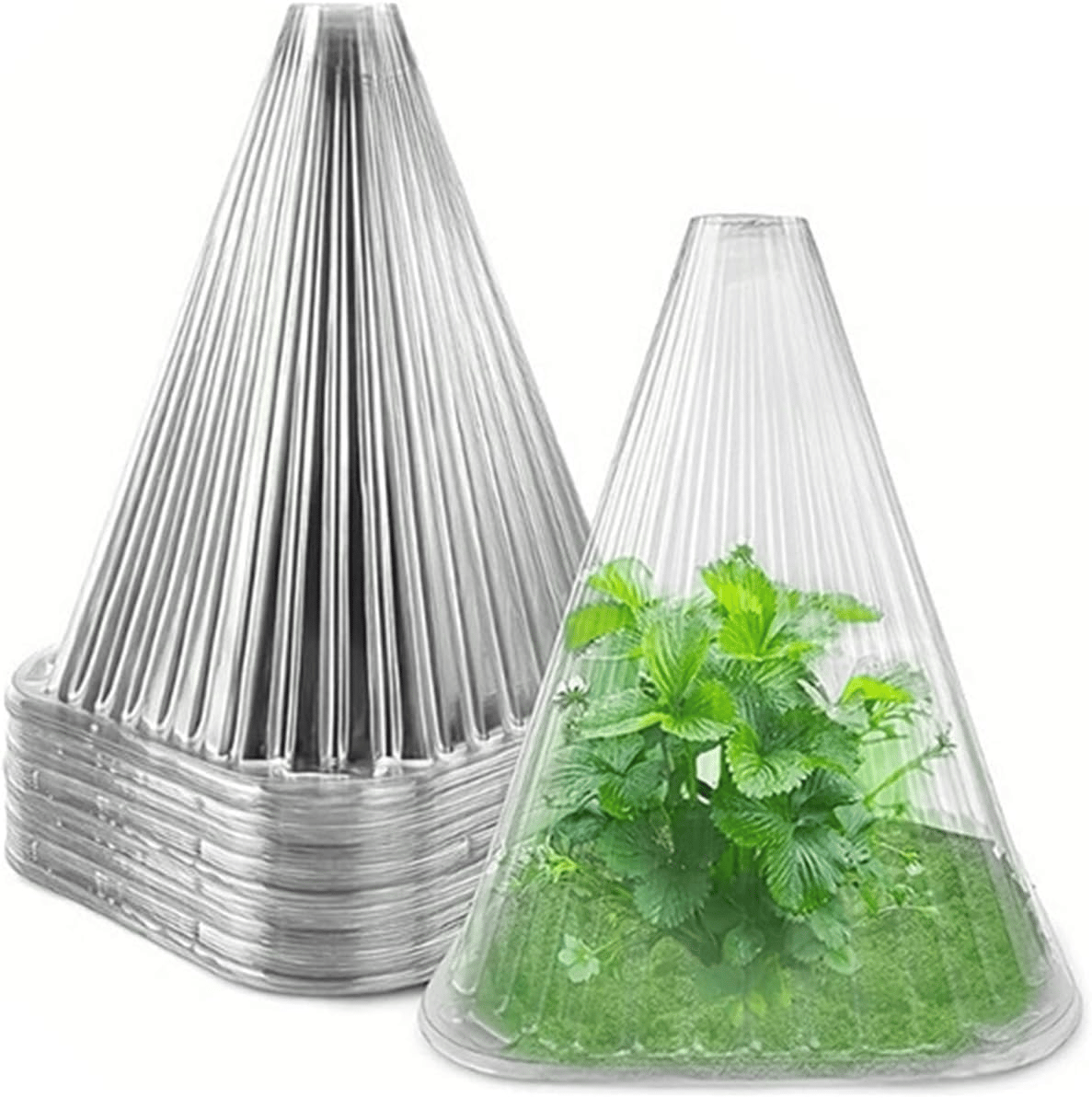 🌱Gardening Greenhouse Plant Covers (10 PCS/Set)