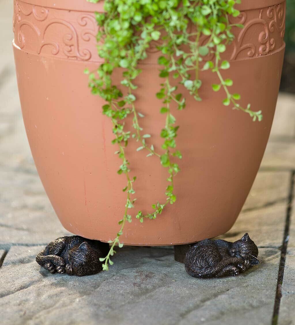 hambort™-Potty Feet Plant Pot Feet