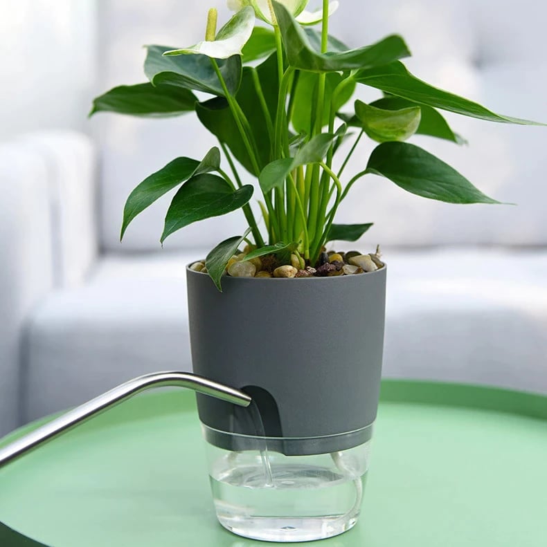 hambort™- Self Watering Plant Pot