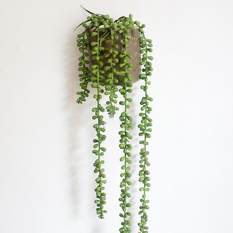 hambort™-French Moss Wall Hanging Plant Decoration