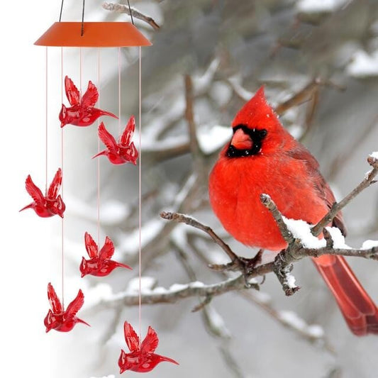 hambort™-Solar Cardinal Wind Chime Light