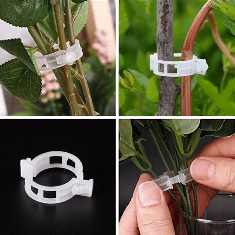 hambort™-Plant Support Clips(100PCS)