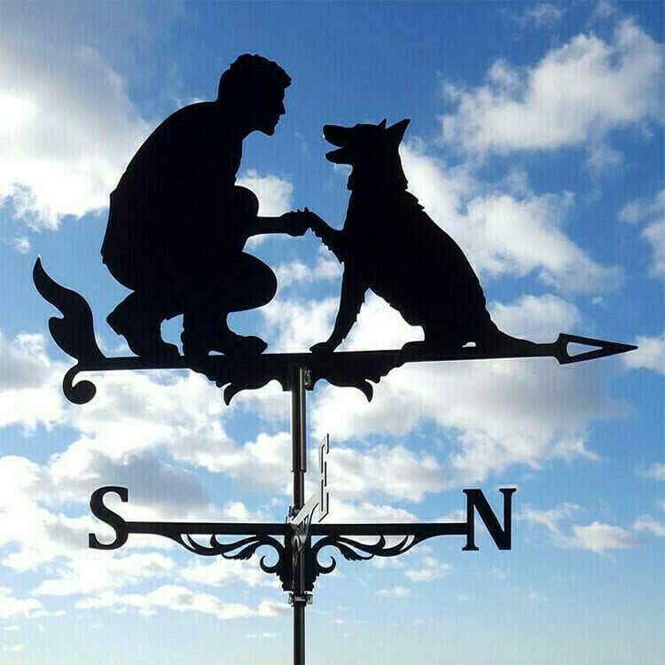 hambort™-Stainless Steel Weathervane