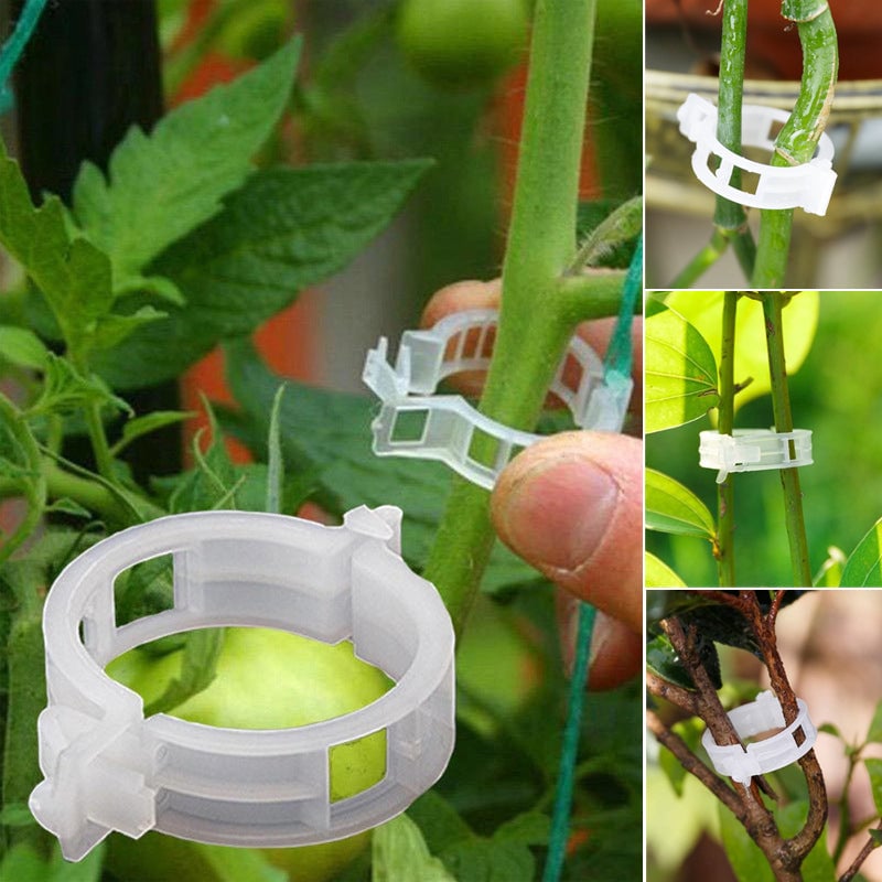 hambort™-Plant Support Clips(100PCS)