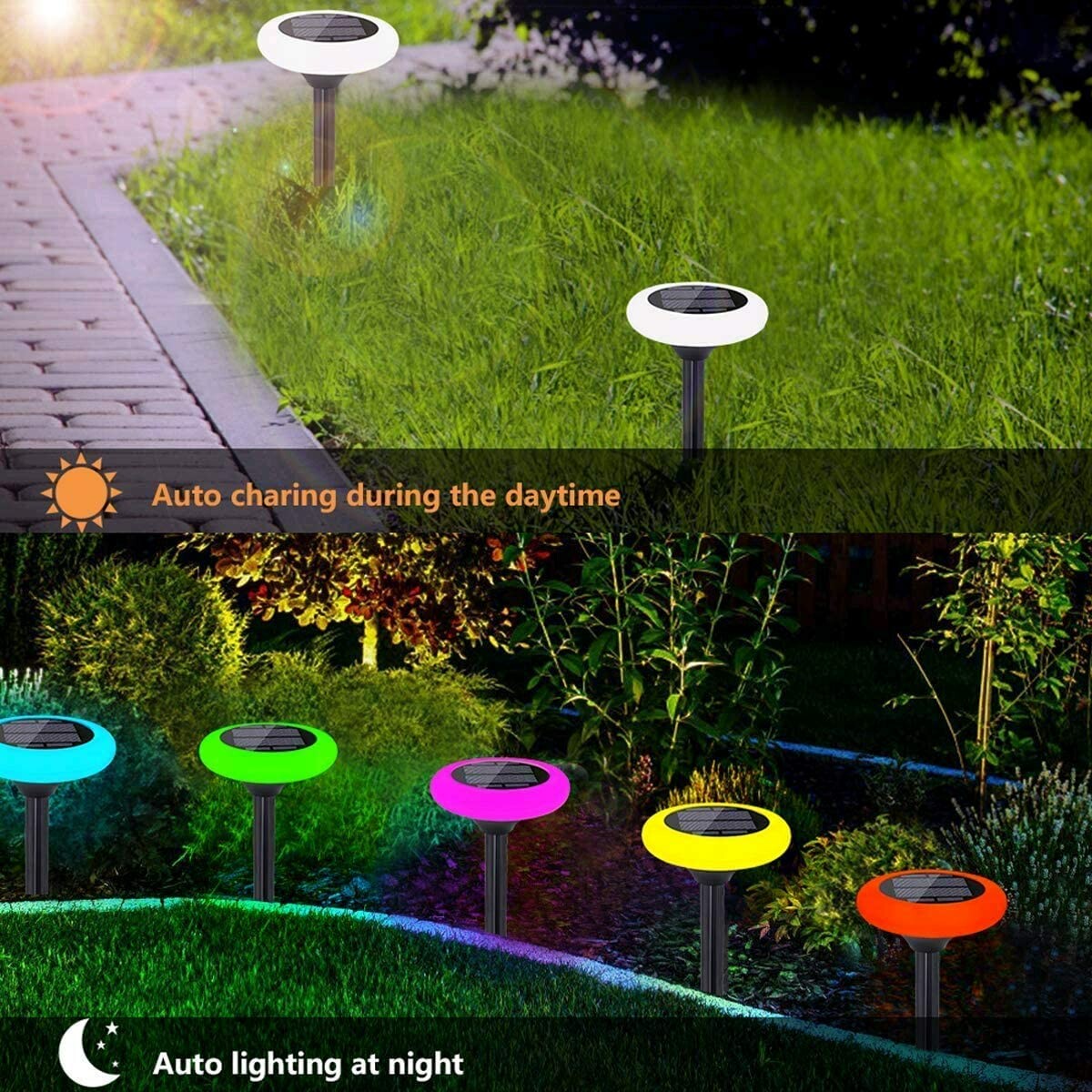 hambort™-Solar colorful lawn light