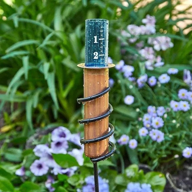 hambort™-World's Coolest Rain Gauge