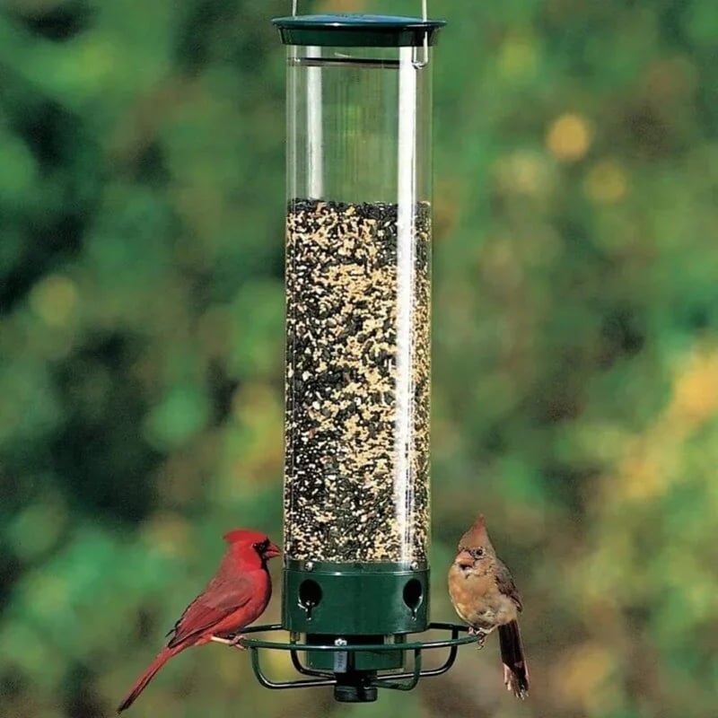 hambort™-Squirrel-Proof Bird Feeder