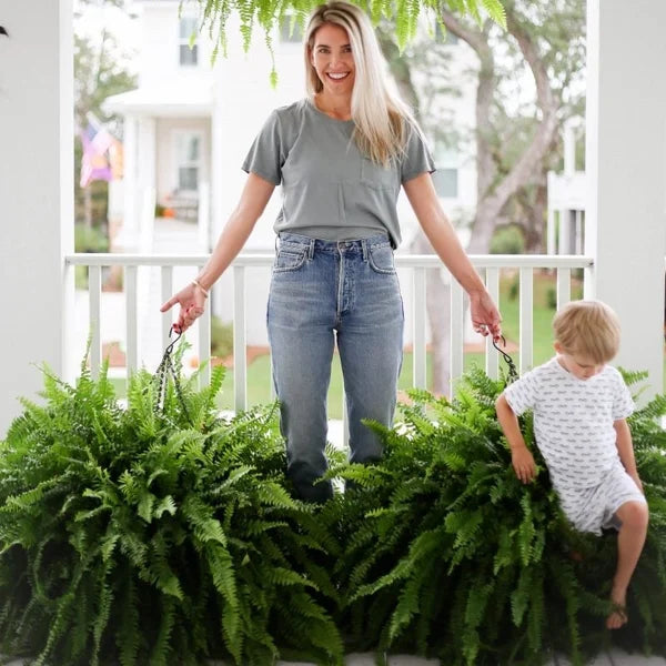 hambort™-UV Resistant Lifelike Artificial Boston Fern