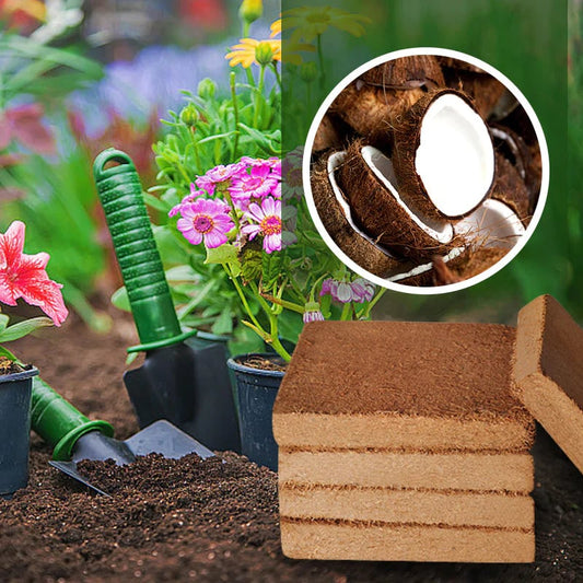 hambort™ - Organic Coconut Coir for Plants