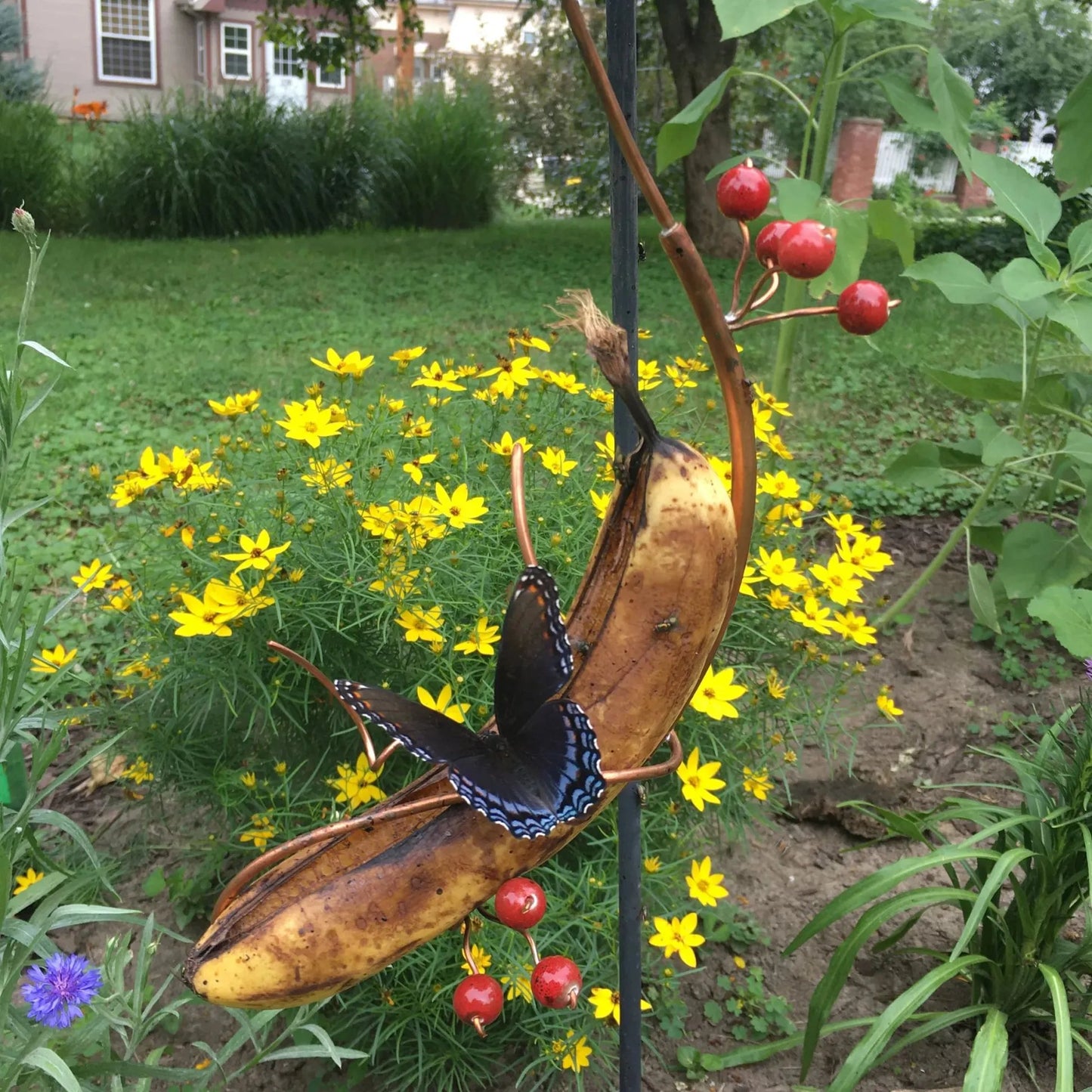 hambort™-Butterfly Banana Hammock-Butterfly Feeder