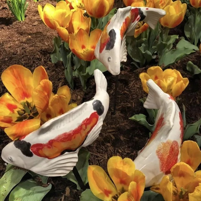 hambort™-koi garden fish series