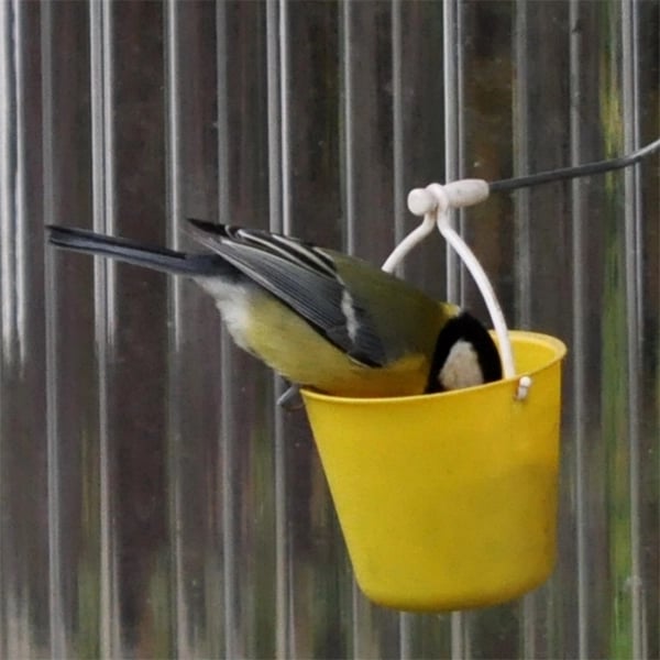 hambort™-Ferris Wheel Bird Feeder