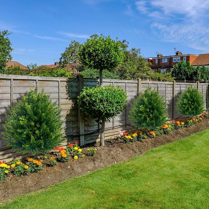 💥LAST DAY 49% OFF-UV Resistant Artificial Cedar Topiary Ball Tree