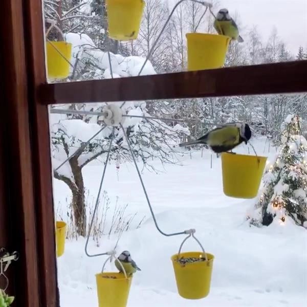 hambort™-Ferris Wheel Bird Feeder