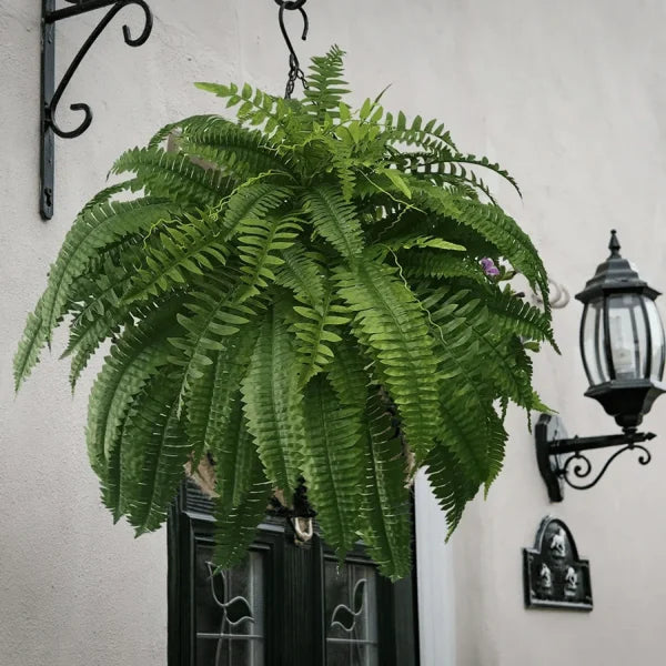 hambort™-UV Resistant Lifelike Artificial Boston Fern