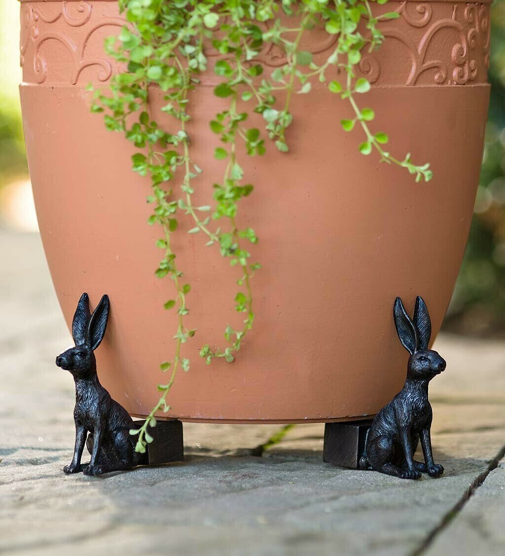 hambort™-Potty Feet Plant Pot Feet