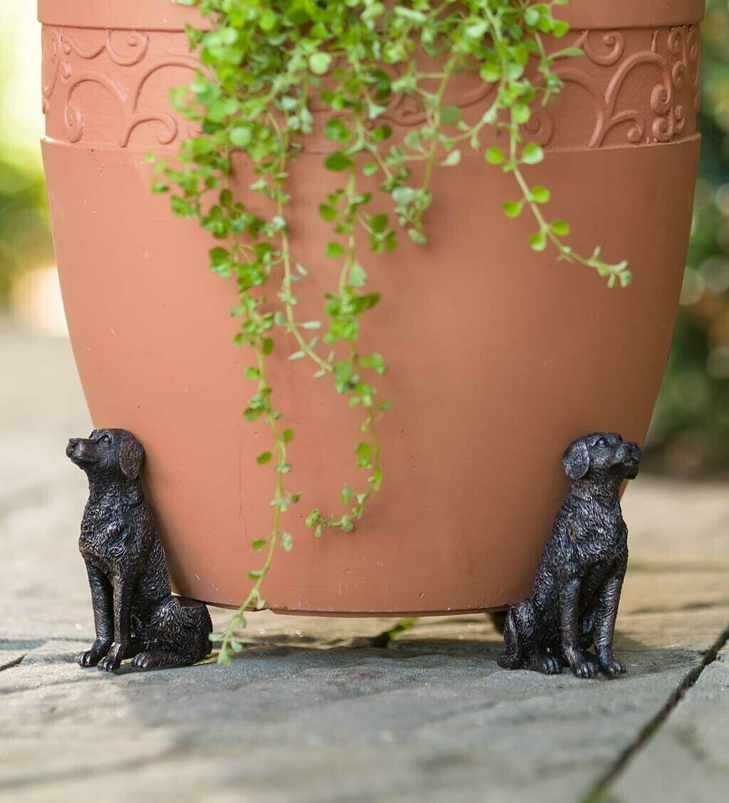 hambort™-Potty Feet Plant Pot Feet