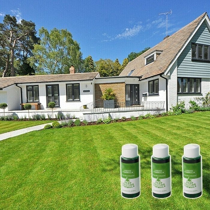 hambort™-GREEN GRASS & PEST CONTROL LAWN SPRAY