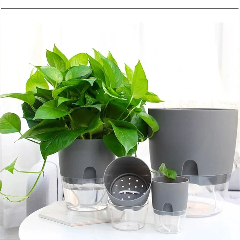 hambort™- Self Watering Plant Pot