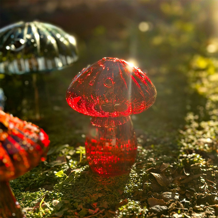 hambort™-Glass Mushroom Vases