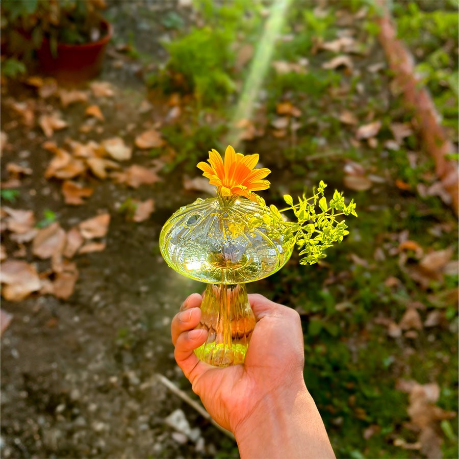 hambort™-Glass Mushroom Vases