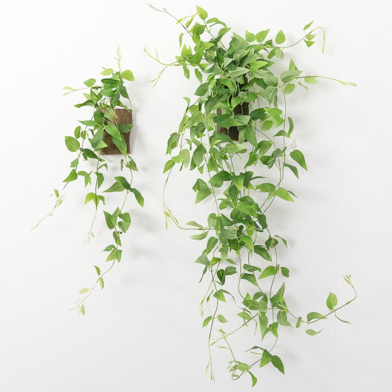 hambort™-French Moss Wall Hanging Plant Decoration