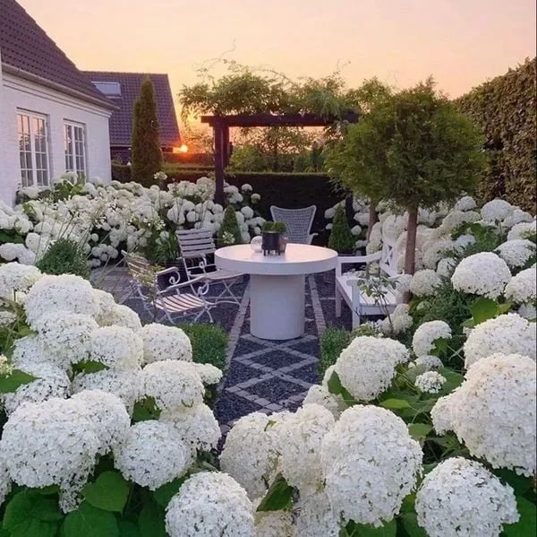 hambort™-Outdoor Artificial Hydrangea Flowers