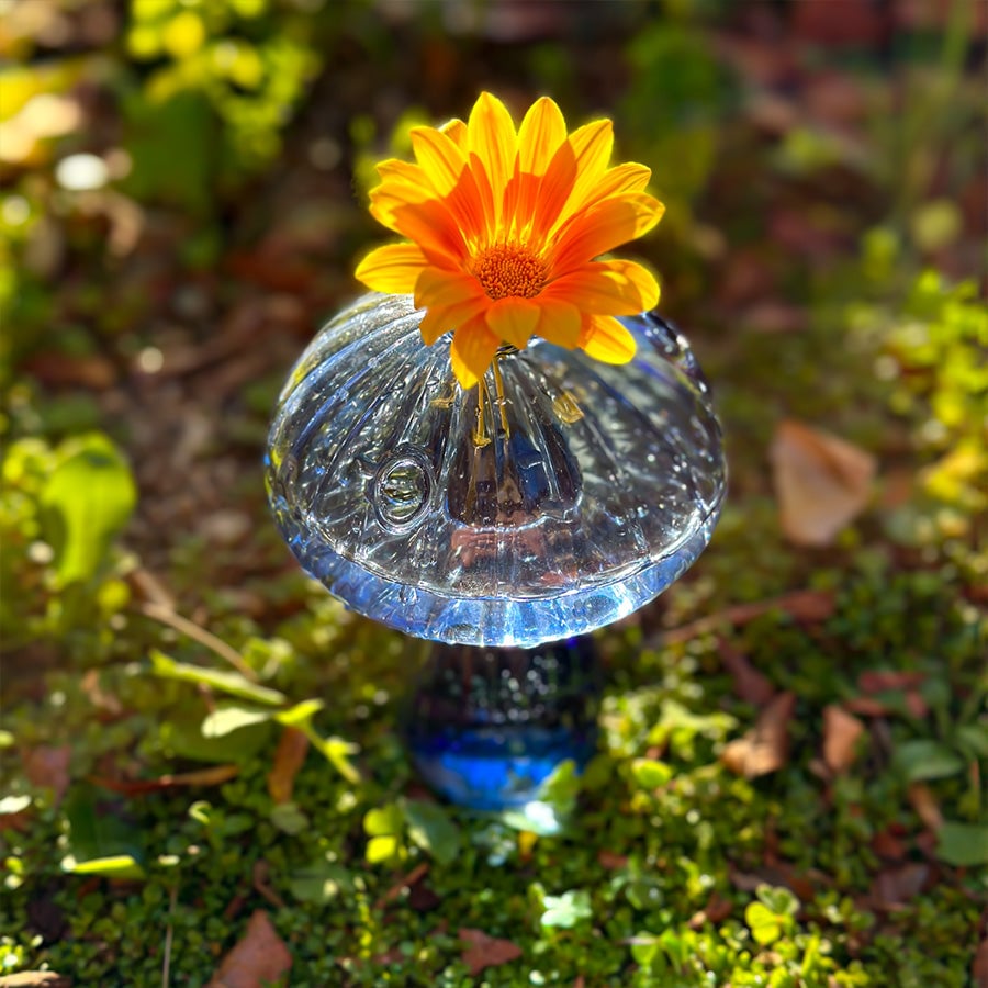 hambort™-Glass Mushroom Vases