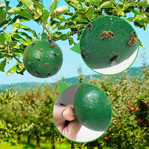 hambort™-Hanging Environmental Fruit Fly Traps Sticky Traps-BUY 3 GET 3 FREE