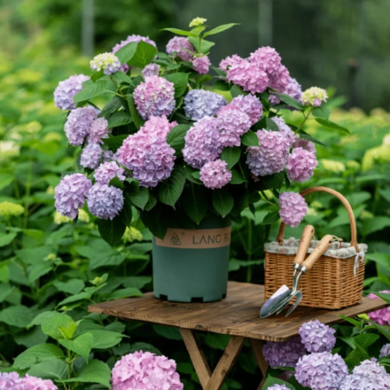 hambort™-Outdoor Artificial Hydrangea Flowers