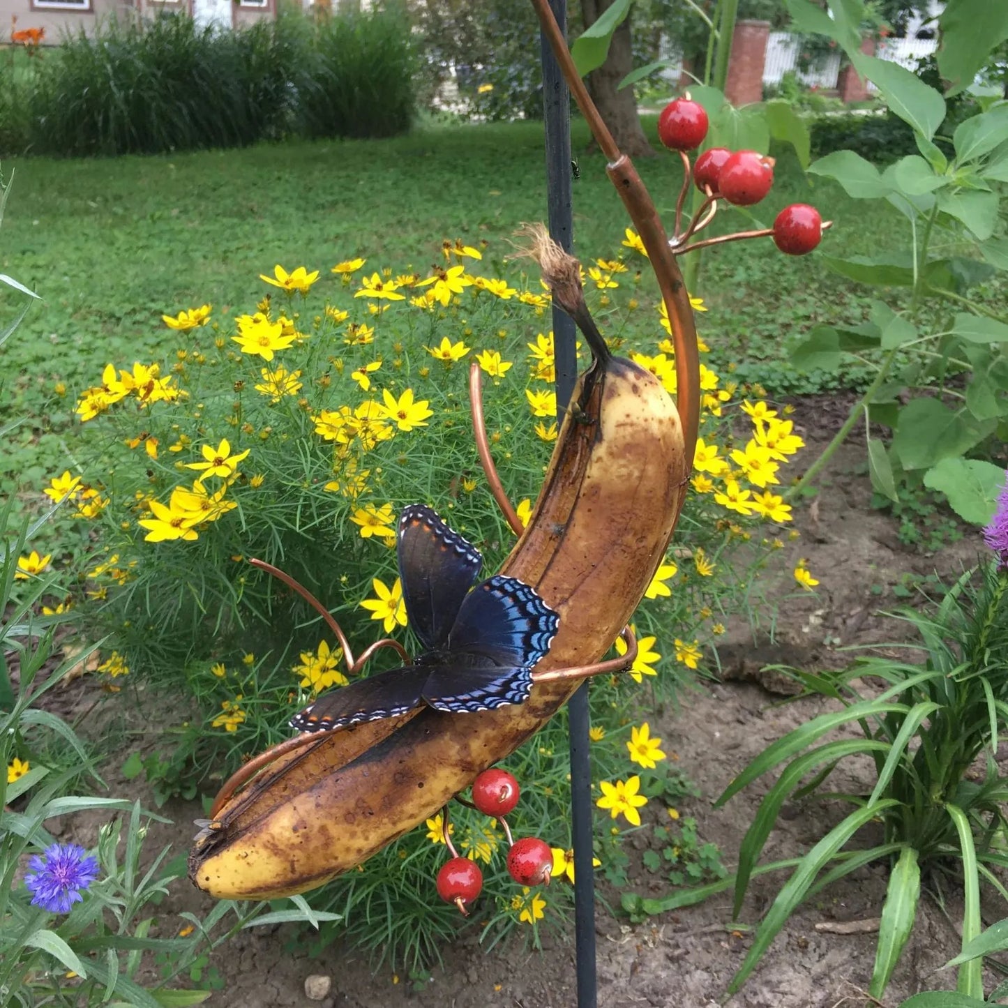 hambort™-Butterfly Banana Hammock-Butterfly Feeder